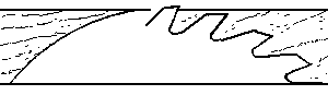 イラスト：材の中の鋸歯